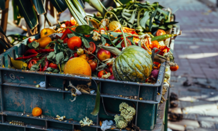 Food Waste Crisis Spurs Sustainability Push in APAC F&B Industry: Report
