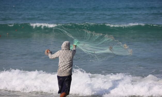 Reviving Gaza’s fishing sector hinges on restoring peace and safe access to the sea
